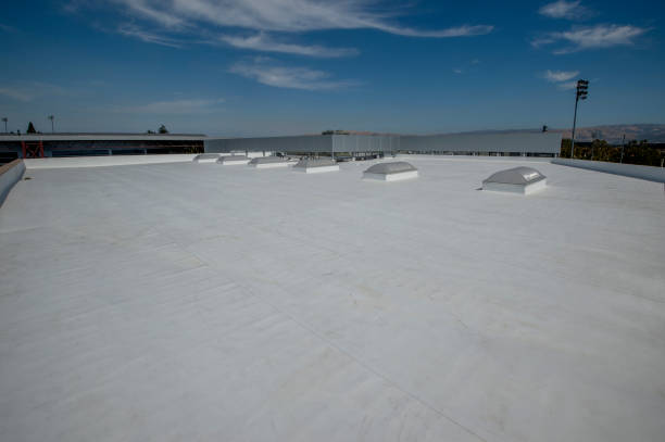 Best Steel Roofing  in Kingsville, MD